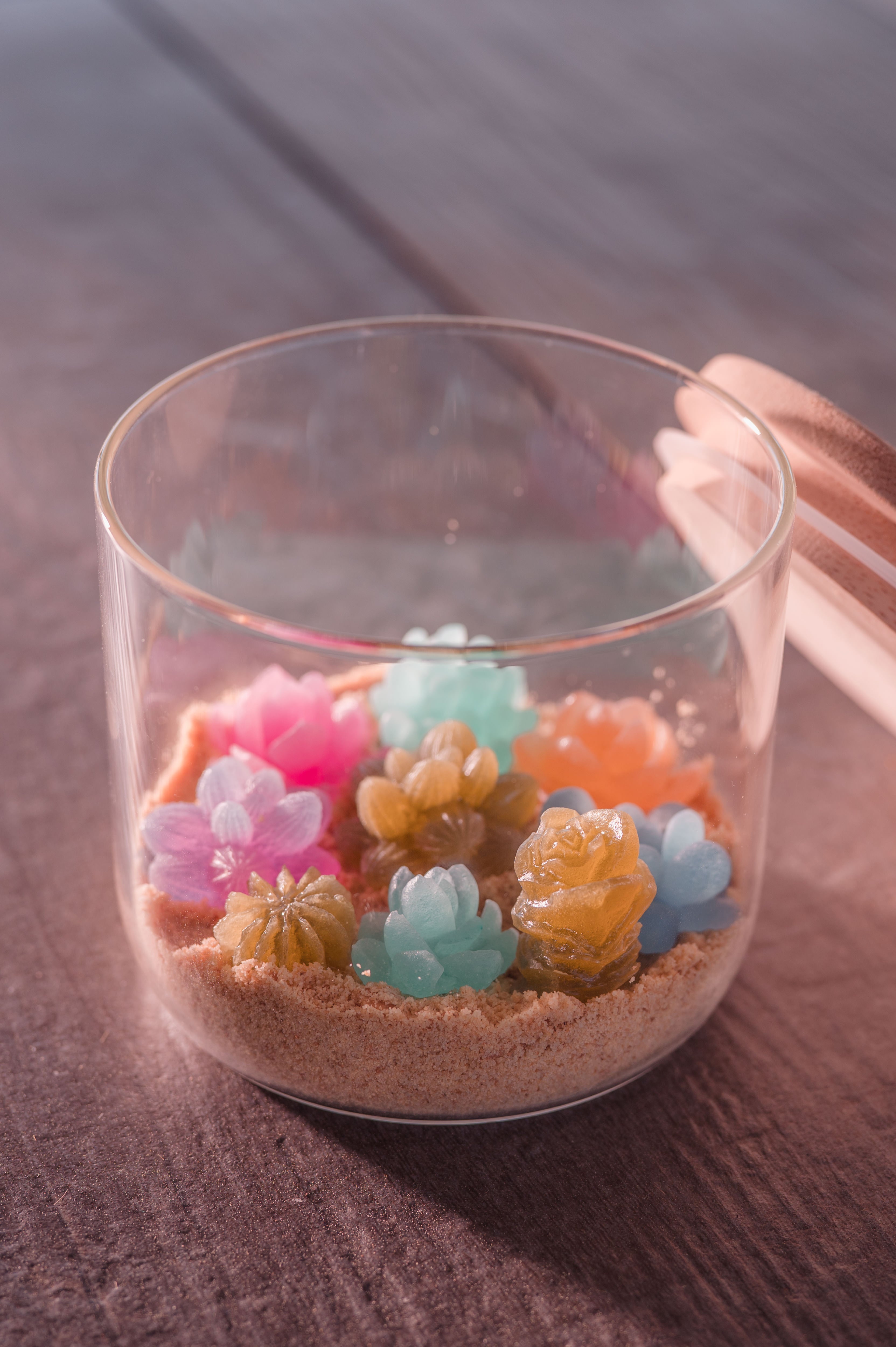 Crystal Candy Succulent Terrarium Kit